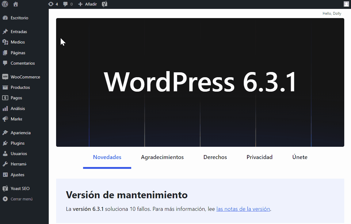 Atualizar WordPress ES 1.gif